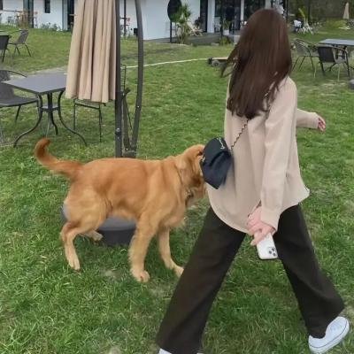 竞走女王